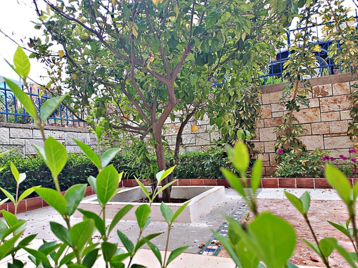 Apartament Iljo *